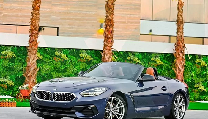 سفربازی - BMW Z4