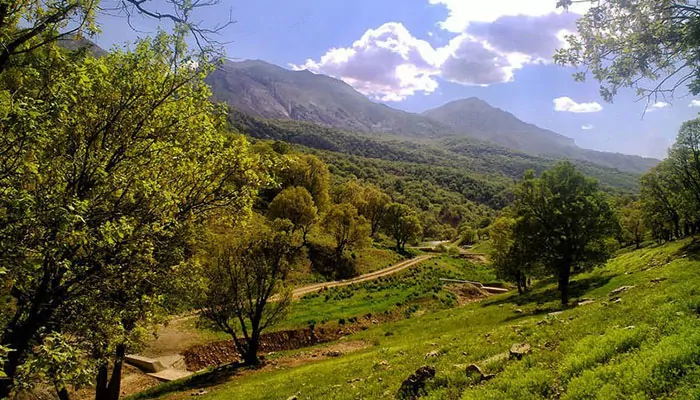 سفربازی - جنگل و آبشار نای انگیز