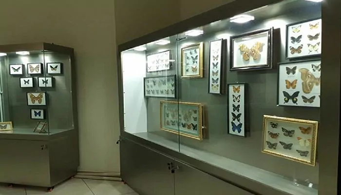 سفربازی - موزه تاریخ طبیعی آذربایجان