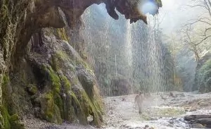سفربازی - آبشار شصت کلاته