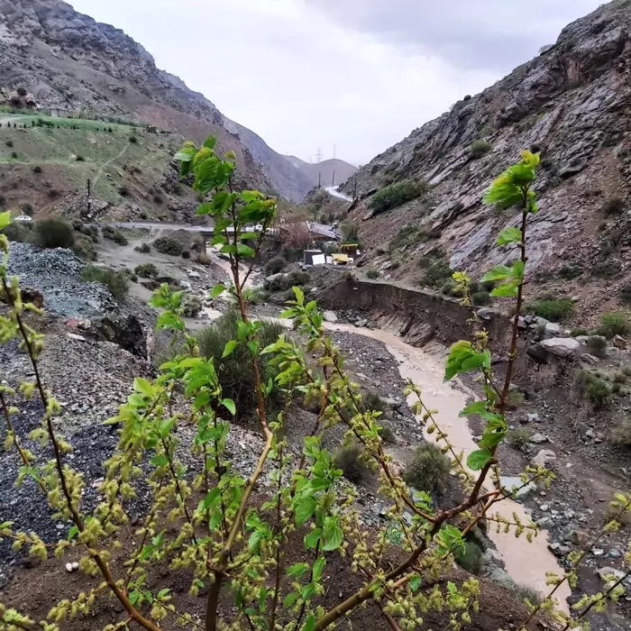 سفربازی - روستای وردیج و اطرافش