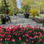 سفربازی - پارک ملت تهران