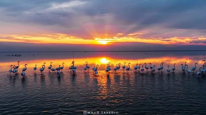 سفربازی - نمای چشم نواز تالاب میانکاله