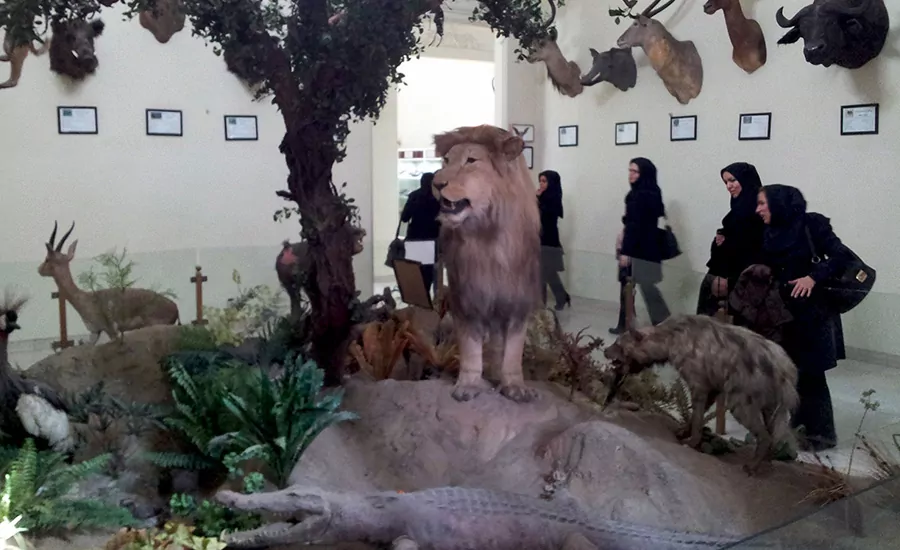 سفربازی - موزه آثار طبیعی و حیات‌ وحش هفت چنار