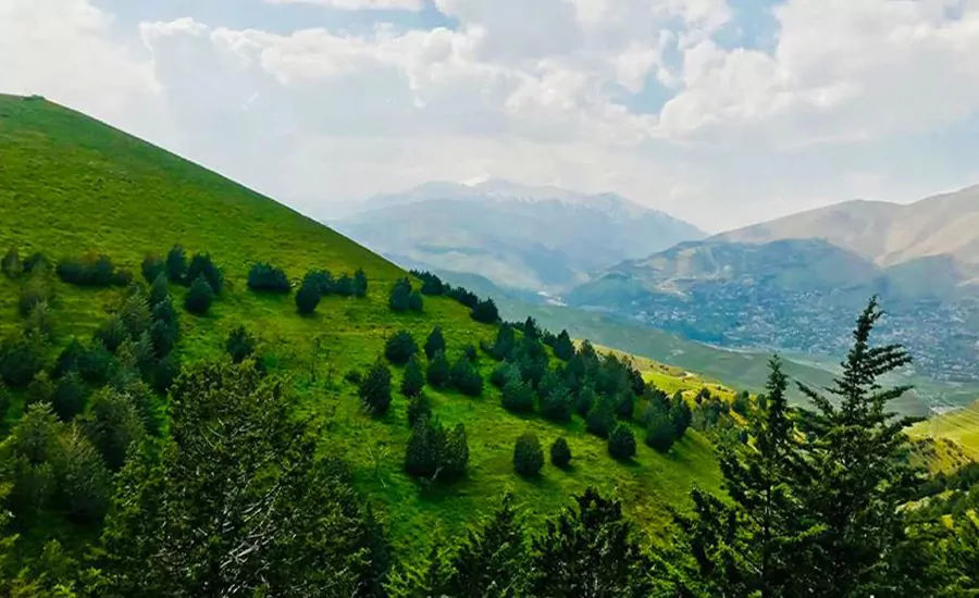 سفربازی - پارک جنگلی تلو