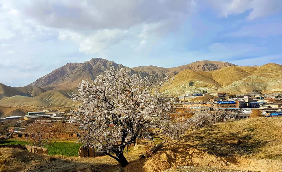 سفربازی - پارک ملی خجیر