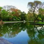 سفربازی - باغ‌ گیاه‌ شناسی ملی ایران