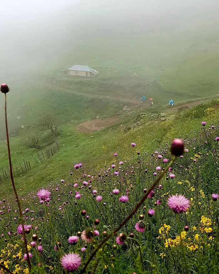 سفربازی - بهترین زمان سفر