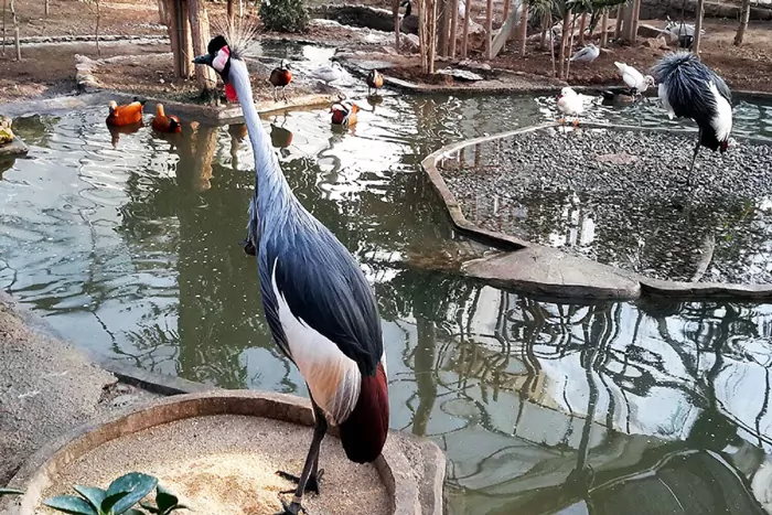 سفربازی - باغ پرندگان تهران