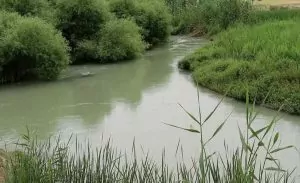 رودخانه شاوور شوش، رودخانه ای جذاب برای کمپ خانوادگی