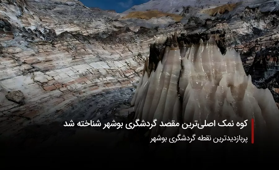 سفربازی-بوشهر کوه نمکی