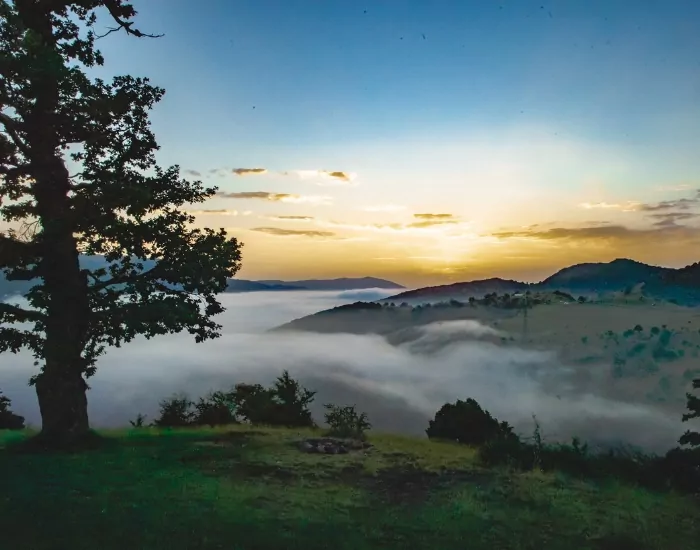 جنگل ابر جاذبه دیدنی