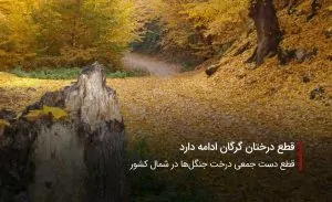 سفربازی-قطع درختان گرگان